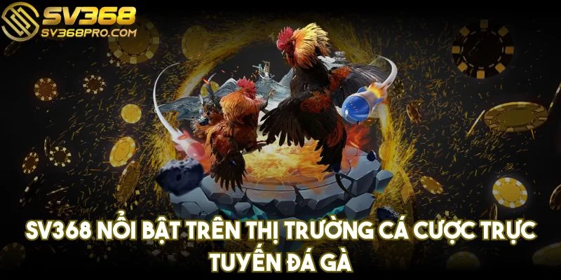SV368 nổi bật trên thị trường cá cược trực tuyến đá gà